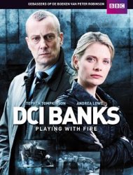 DCI Banks saison 5 poster